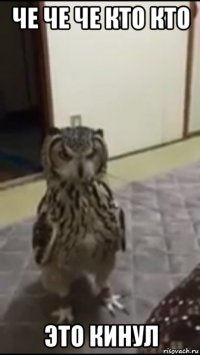 че че че кто кто это кинул