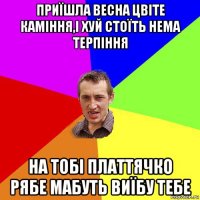 приїшла весна цвіте каміння,і хуй стоїть нема терпіння на тобі платтячко рябе мабуть виїбу тебе