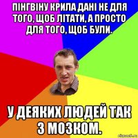 пінгвіну крила дані не для того, щоб літати, а просто для того, щоб були. у деяких людей так з мозком.