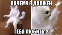 почему я должен тебя любить ?