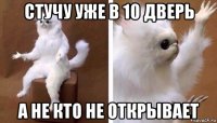 стучу уже в 10 дверь а не кто не открывает