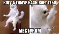 когда тимур называет тебя местуром