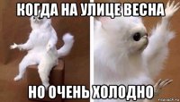 когда на улице весна но очень холодно