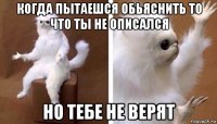 когда пытаешся обьяснить то что ты не описался но тебе не верят