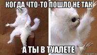 когда что-то пошло не так а ты в туалете