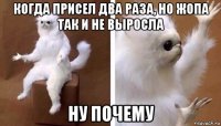 когда присел два раза, но жопа так и не выросла ну почему