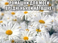 ромашки для моей вредненькой наташке! 