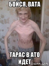 бойся, вата тарас в ато идет