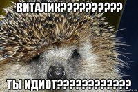 виталик?????????? ты идиот????????????