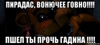 пирадас, вонючее говно!!!! пшел ты прочь гадина !!!!