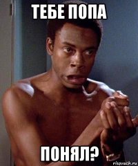 тебе попа понял?