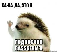  подписчик bassgerm'a