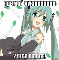 где мой лук!!!!!!!!!!!!!!! у тебя в попе!