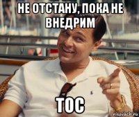 не отстану, пока не внедрим тос