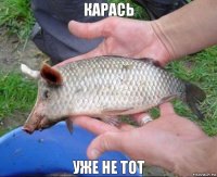 карась уже не тот