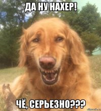 да ну нахер! чё, серьезно???