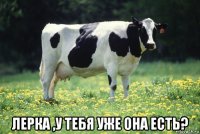  лерка ,у тебя уже она есть?