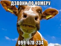 дзвони по номеру 099-678-234