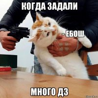 когда задали много дз