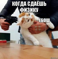 когда сдаёшь физику 