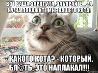 вот ваша зарплата, забирайте... - а ну-ка покажите мне вашего кота! - какого кота? - который, бл@ть, это наплакал!!!