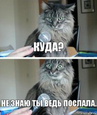 куда? Не знаЮ ты ведь послала.