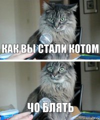 как вы стали котом чо блять