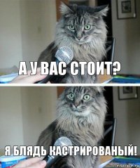 А У ВАС СТОИТ? Я БЛЯДЬ КАСТРИРОВАНЫЙ!