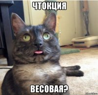 чтокция весовая?