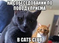 на собеседовании по поводу приёма в cats club