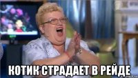  котик страдает в рейде