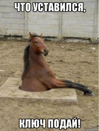 что уставился, ключ подай!