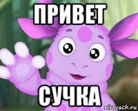 привет сучка