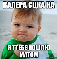 валера сцка на я ттебе пошлю матом