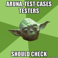 aruna, test cases testers should check