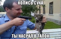 колись сука ты насрал в тапок