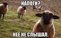 налоги? нее не слышал.