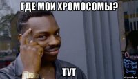 где мои хромосомы? тут