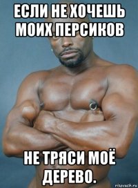 если не хочешь моих персиков не тряси моё дерево.