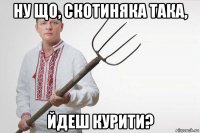ну що, скотиняка така, йдеш курити?