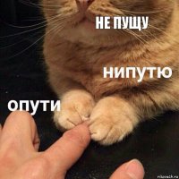 не пущу 