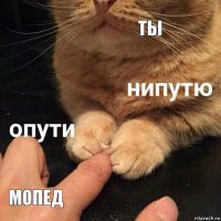 ты мопед