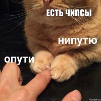 ЕСТЬ ЧИПСЫ 