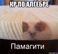 кр по алгебре 