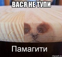 вася не тупи 