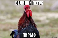 великий петух пирыс