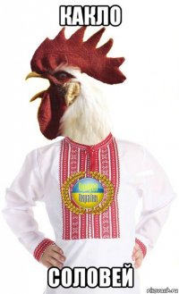 какло соловей