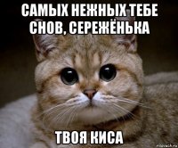 самых нежных тебе снов, сережёнька твоя киса