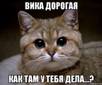 вика дорогая как там у тебя дела...?