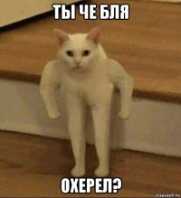 ты че бля охерел?